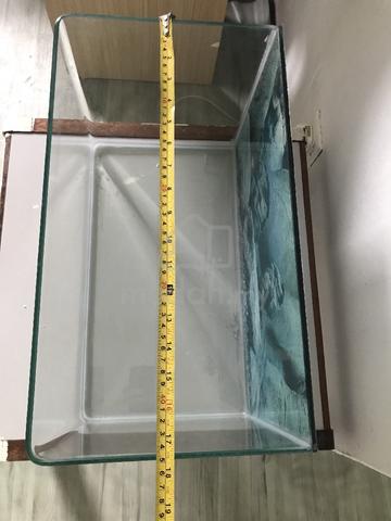 Aquarium Curve - photo 5 of 6