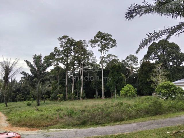 Tanah Dusun 2 pokok durian dan tapak Rumah, Kg.Tengah, Lenggeng 1