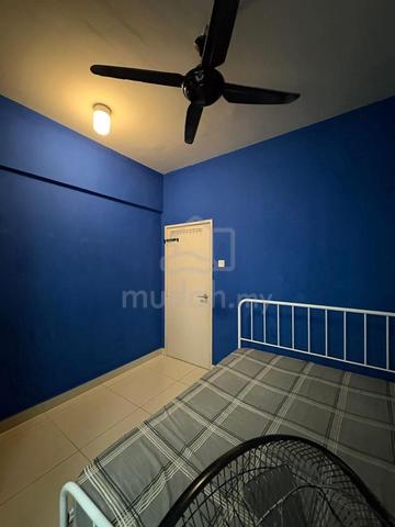 Single Room - Female Unit 1