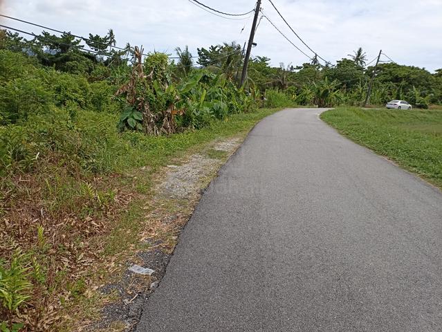 3 acre land sale in Balik Pulau 1