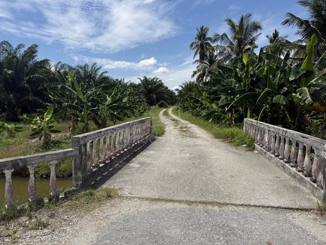 Tanah untuk dijual 1