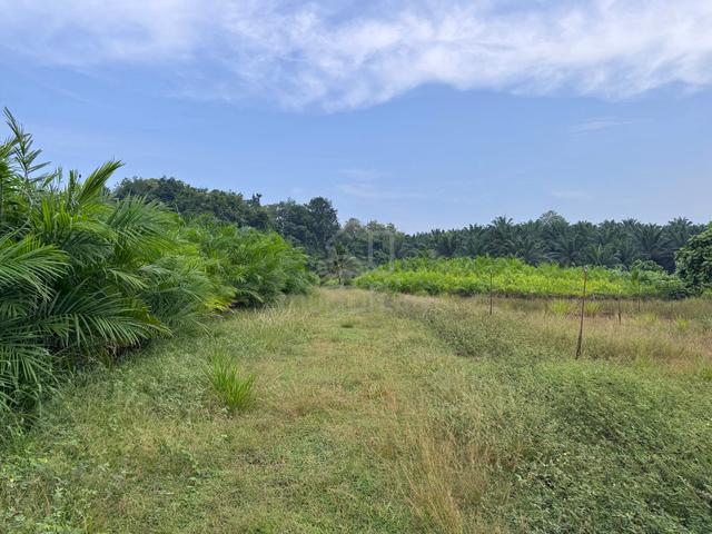 Flat land for sale - Jalan Apas Mile 5 (1.36 Acre) 1