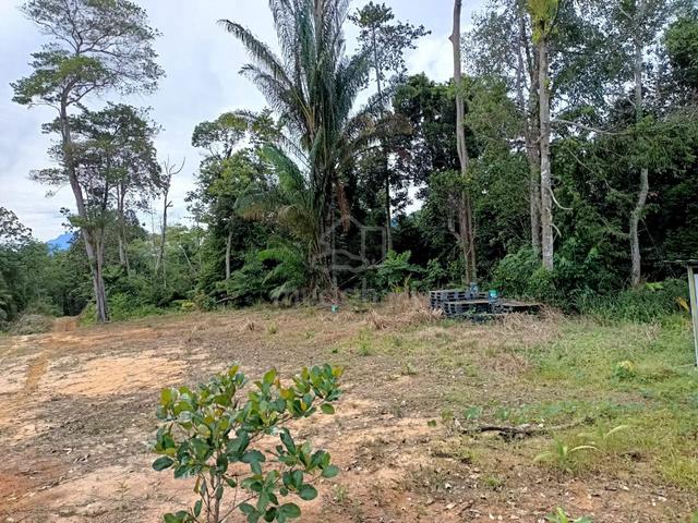 Kota Kinabalu Agricultural Land 27 acres 2