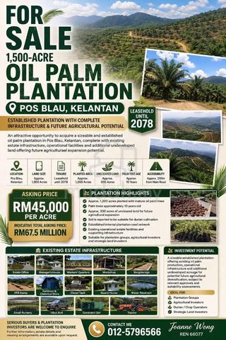 1500 Acre Oil Palm Plantation For Sale at Pos Blau, Kelantan 1