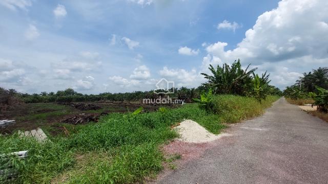 5 Ekar International /236K sqft Agro Land Kulai/Pontian/Sedenak 1