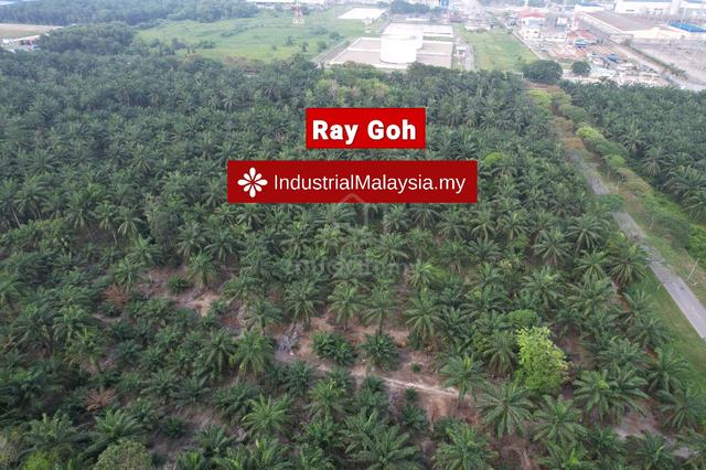 Mukim Morib Banting, Kanchong Agriculture Land for Sale 5
