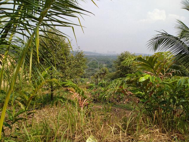 bkt cherakah, shah alam 1