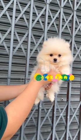 Carousel Image