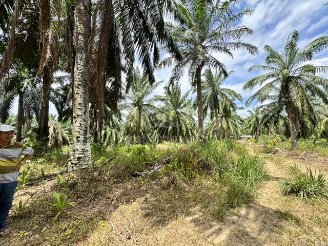 Tanah Kampung Sinapokan Kuala Penye 1