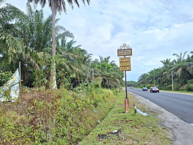 tanah pertanian 10.5 ekar mersing johor 1