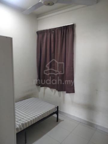 Bilik Medium Lelaki Pandanmas 1