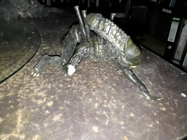 Carousel Image