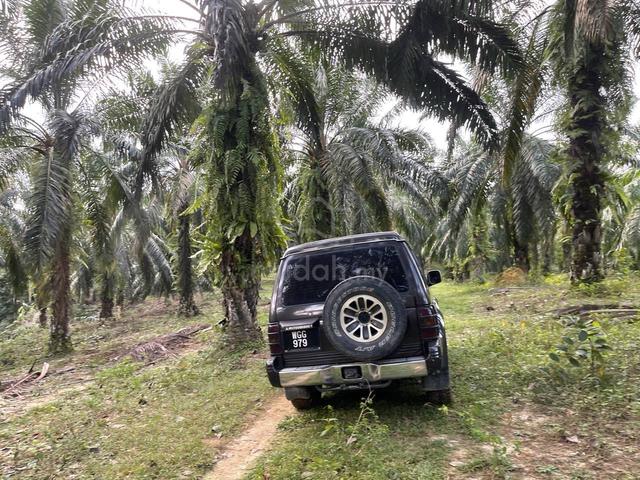 GERAN FREEHOLD💯 2.95 EKAR‼️ Tanah Pertanian Kg Sg Rambutan, Selama 4