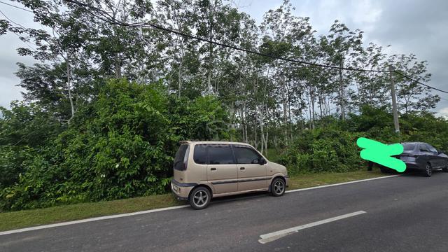 kebun getah freehold jitra 1