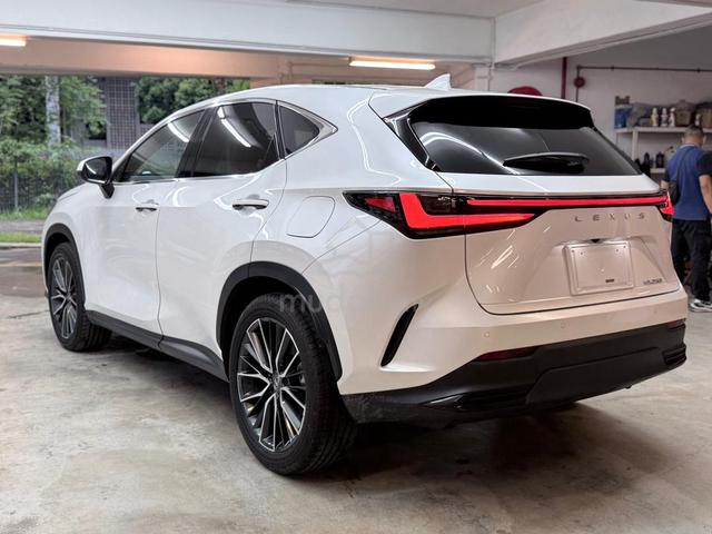 2023 Lexus NX250 VERSION L HUD DIM S/ROOF GRADE4.5 - 3