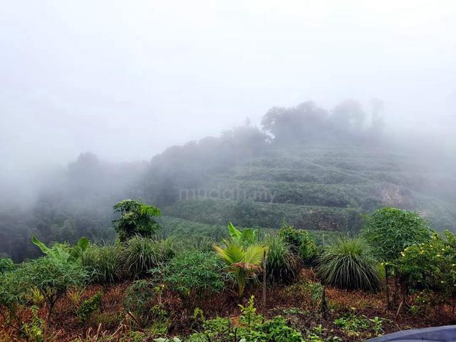Tenom NT Land For Sale / Dijual / Tenom Enubai 1