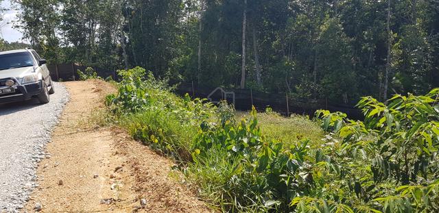 Tanah Untuk Pertanian Hampir Jalanraya Di Kepis Kuala Pilah 1