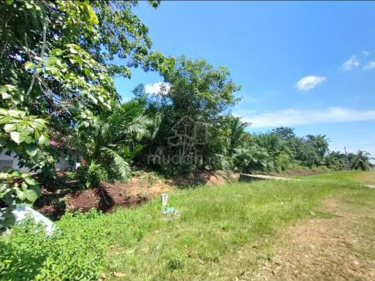 Land For Sale 1