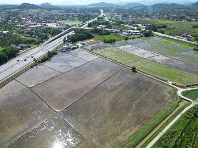 agricultural paddy land b mertajam butterworth seberang perai sale 1