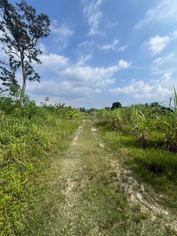 Tanah untuk dijual - Labu, Negeri Sembilan 1