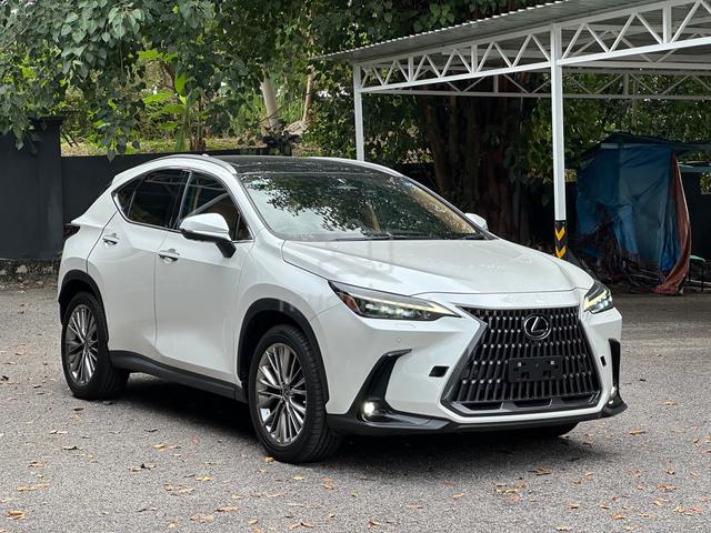 UNREG 2023 Lexus NX250 2.5 LUXURY-LOW MILEAGE-5A - 1