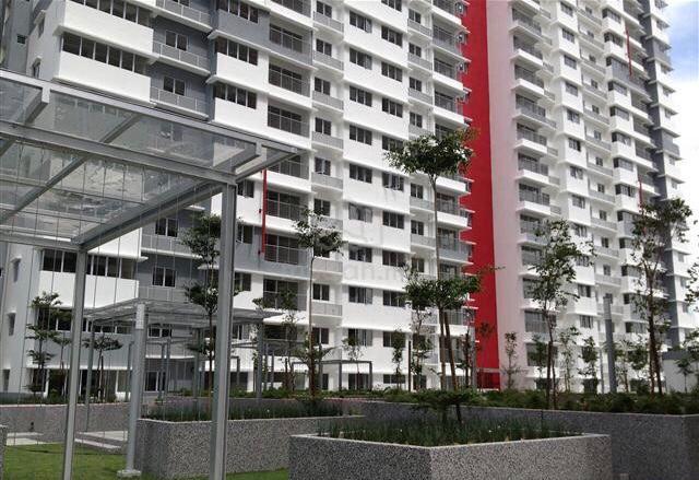 Koi Kinrara 1