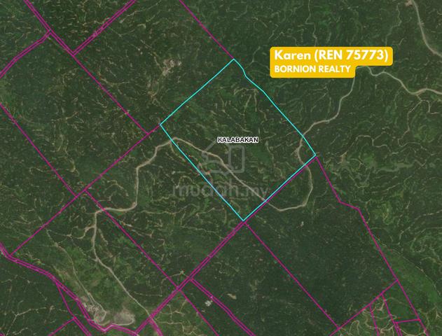 200 acres Oil Palm Plantation at Kalabakan 1