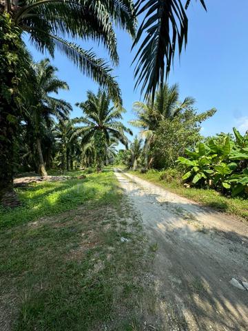 Tanah untuk dijual di bukit changgang 1