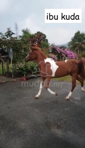 Carousel Image