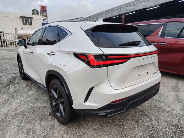 2023 Lexus NX 250 2.5 Version L P/R 360 Camera - 4