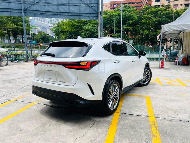 2023 Lexus NX 250 2.5 LUXURY Grade 5A Black Seats - 4