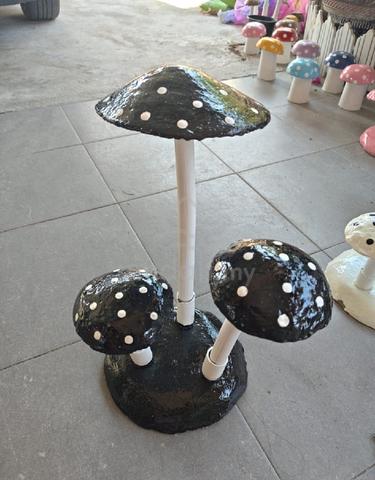 Carousel Image
