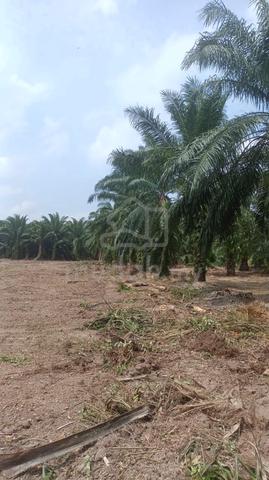Lot Nama Terus Masuk Geran diJln Tambak Tgh Jeram Selangor Utk diJual 2