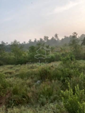 Tanah Sungai Naga 1 Ekar Freehold Bumi Kebun Kelapa Pandan 1