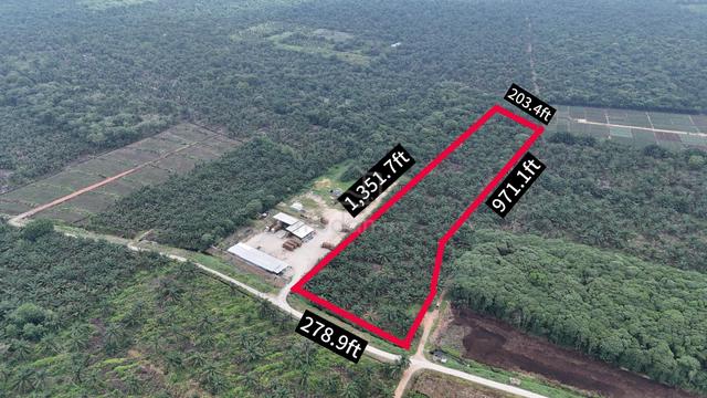 Freehold Int'l Lot Oil Palm Land Kg Sungai Burong, Pekan Nanas Pontian 1
