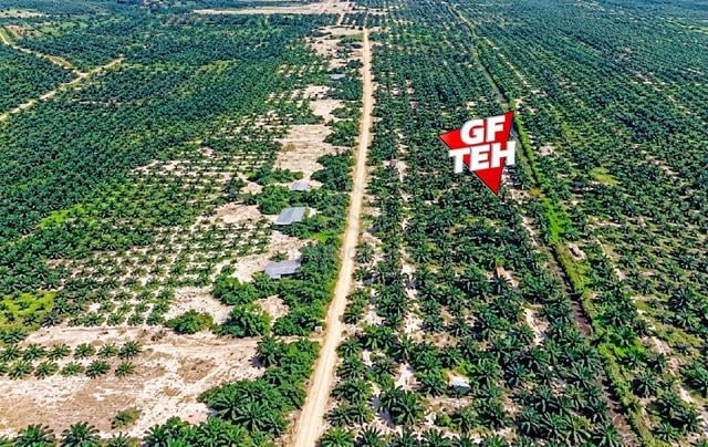 900 acre Leasehold Residential Land | Suited Solar Farm | Terengganu 1