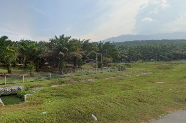 Freehold Land for Sale Trong Perak Taiping 1