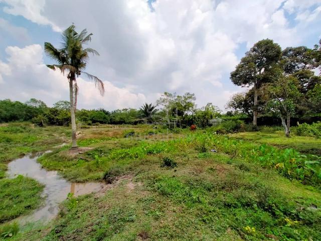 Agriculture land for sale in Mantin 1