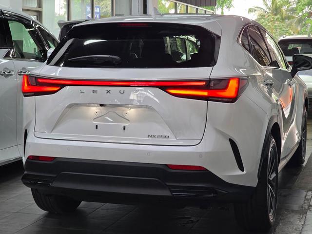 2023 Lexus NX250 2.5 BASE GRADE (A) - 3