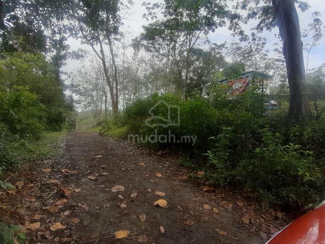 Tanah 3.48 ekar untuk dijual – Kawasan Sawah Raja/ Kg. Limau Kambing 1