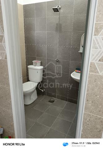 Single Storeys Terraced House 5