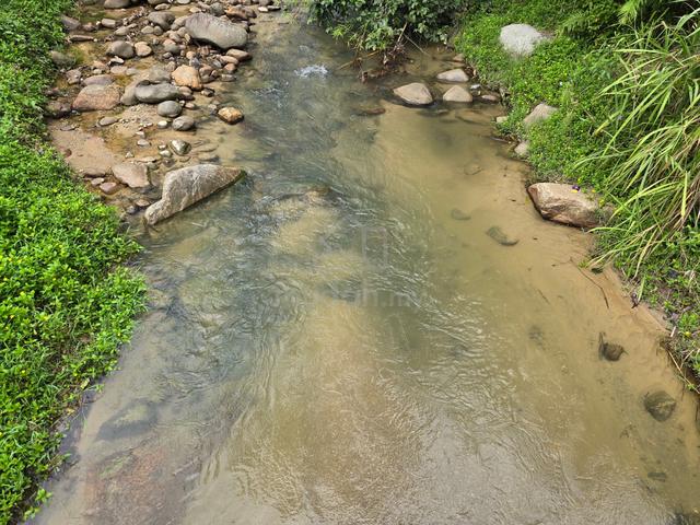 (ANAK SUNGAI DI TANAH! PELBAGAI TANAMAN) Tanah Pertanian, Janda Baik 1