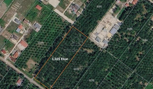 (Corner Lot) Kebun Sawit, Parit Mahang, Ijok Kuala Selangor 1