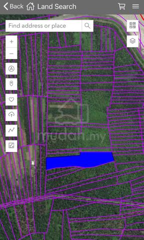 Asajaya agricultural land for sale 1