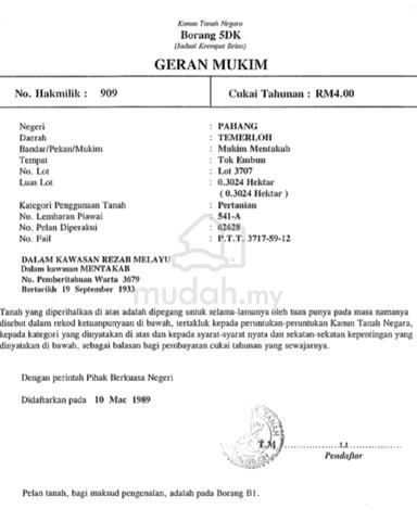 malay reserved land for sale 1
