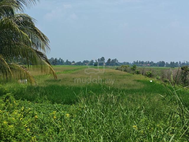 Tanah Lot Murah Di Area Teluk Medab,Bagan Serai  1