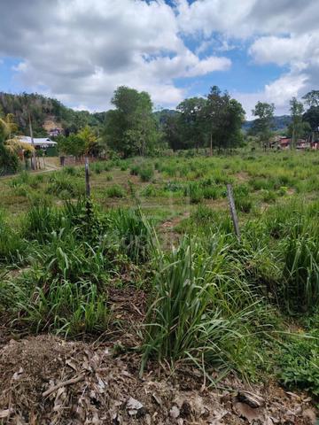 Lot tanah Kg Rambai, Tamparuli 2 minit SK Bantayan 1