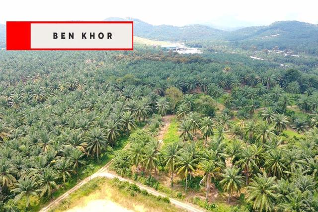 6.73 Acres| Agricultural Land | Jalan Gajah Mati | BM | PENANG 1