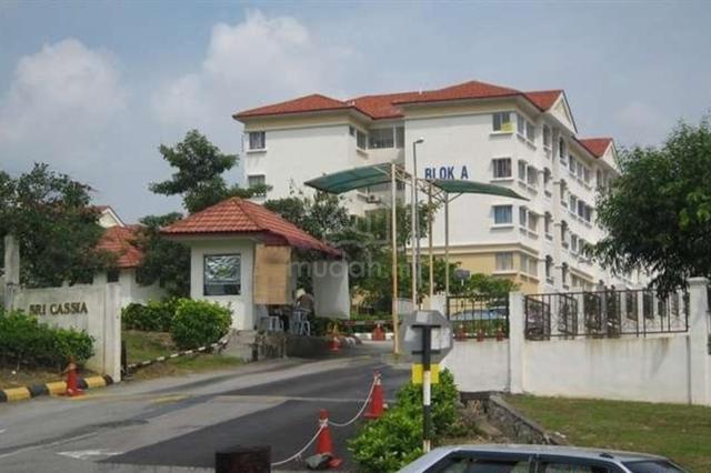 Sri Cassia 1