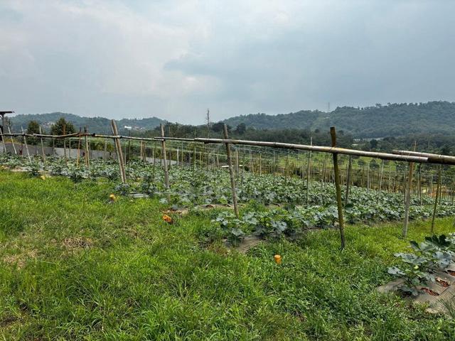 Freehold Open Ulu Yam land 1